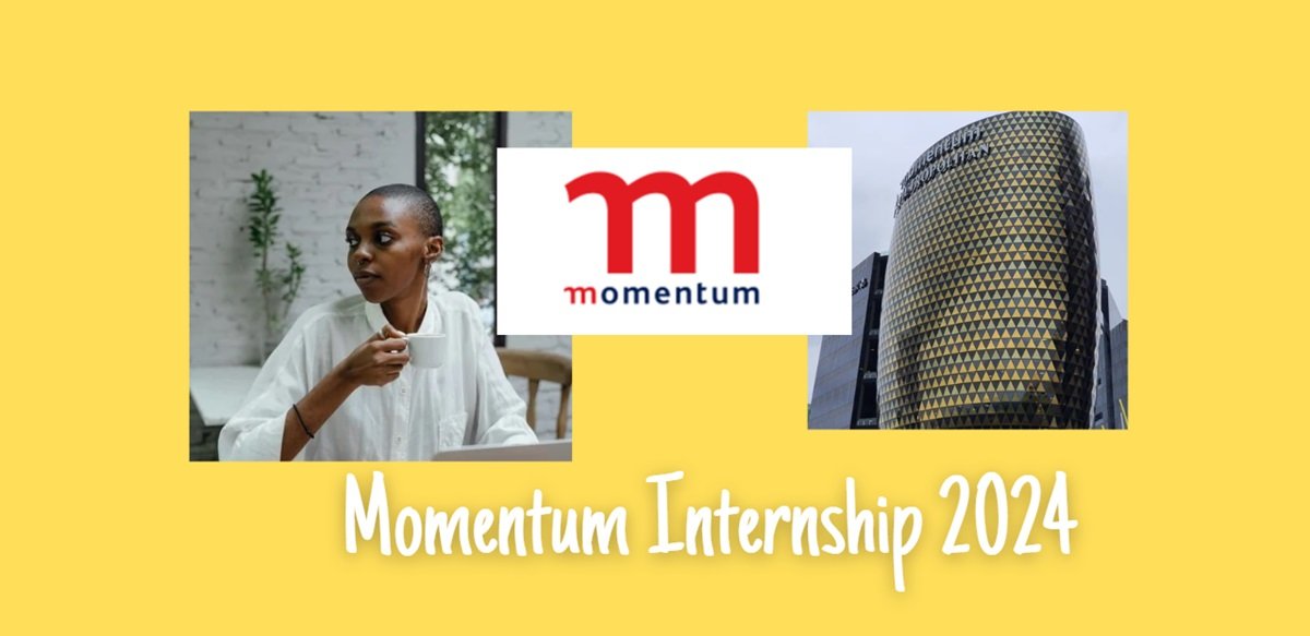 Momentum Internship 2024